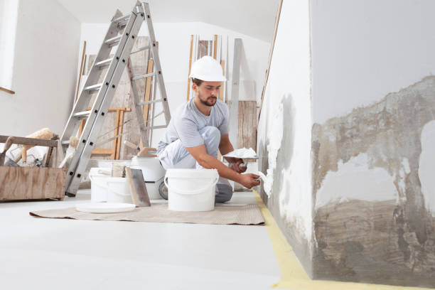 Best Residential Mold Inspection & Testing  in Edgemere, MD