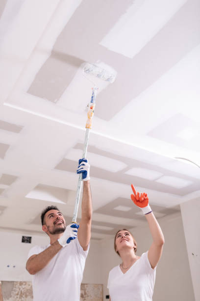 Edgemere, MD Mold Removal Company