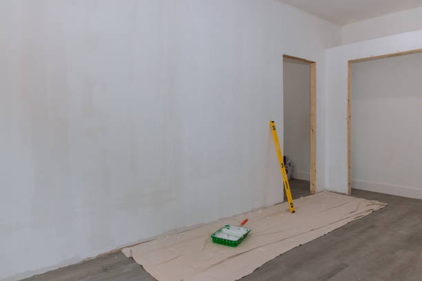 Best Black Mold Removal  in Edgemere, MD