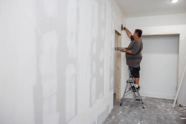Best Mold Odor Removal Services  in Edgemere, MD