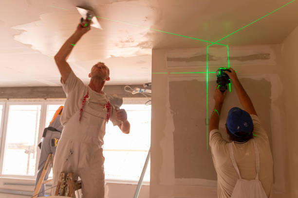 Best Attic Mold Removal  in Edgemere, MD