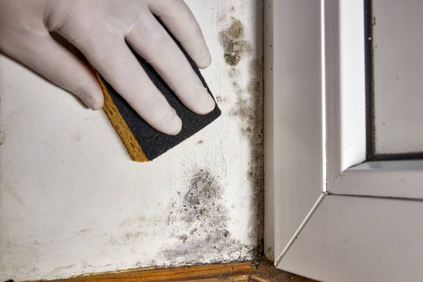 Best Indoor Air Quality Assessment  in Edgemere, MD