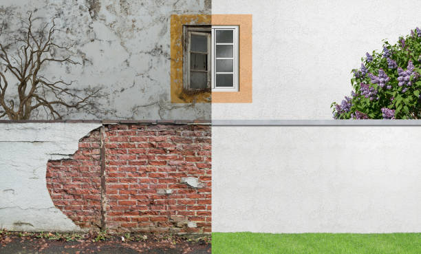 Best Post-Construction Mold Inspection  in Edgemere, MD