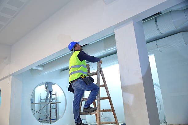 Best Mold Damage Restoration  in Edgemere, MD
