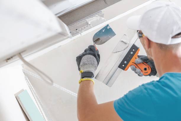 Best Environmental Consulting for Mold Prevention  in Edgemere, MD